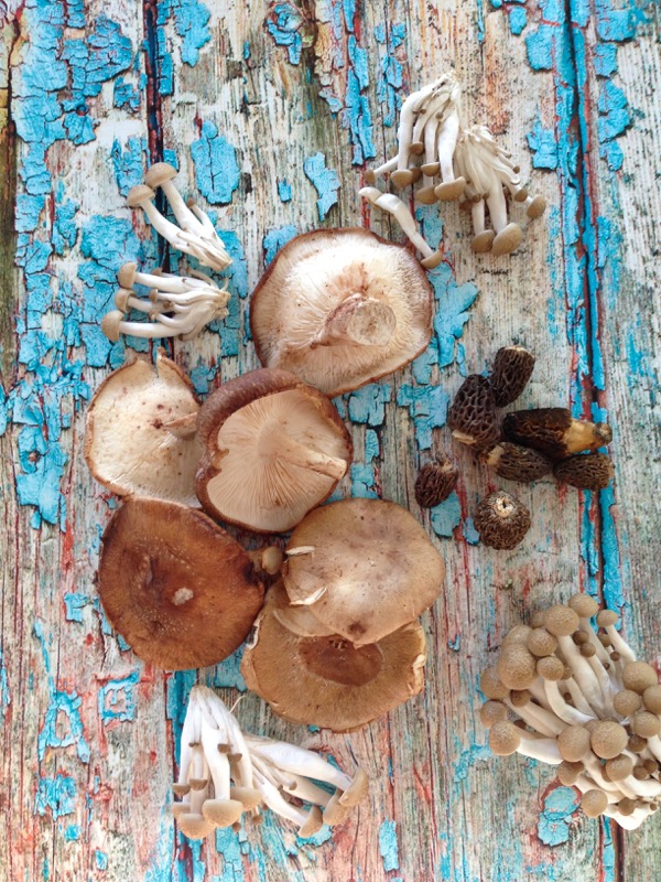 Vegan Mushroom Risotto Recipe Vegan mushroom risotto recipe