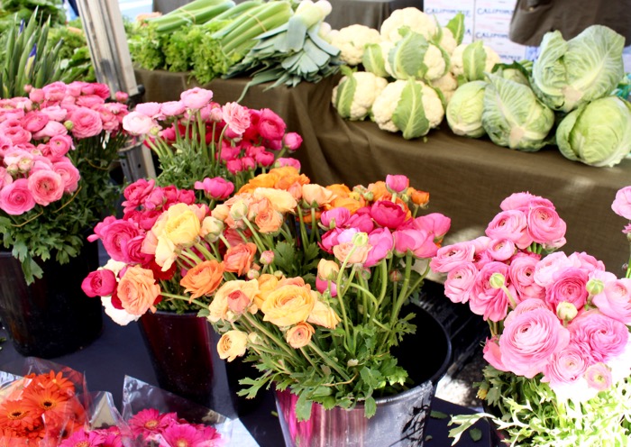 Orange Avocado Salad Recipe with Lime Dressing Orange Avocado Salad Recipe with Lime Dressing