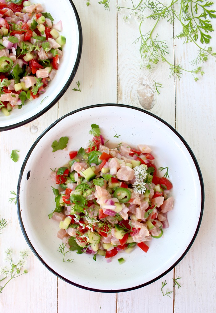 White Bowls of Mexican Ceviche with Cucumber, Tomato and Onion White Bowls of Mexican Ceviche with Cucumber, Tomato and Onion