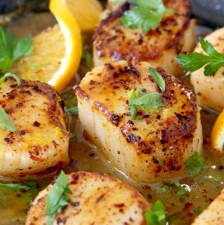 Seared Scallops Recipe with Orange Rum Sauce