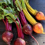 Bunch of Red and Golden Beets with Green Tops on Rustic Table