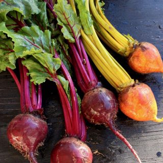 Bunch of Red and Golden Beets with Green Tops on Rustic Table