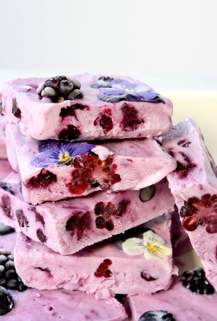 Frozen Yogurt Bars Recipe