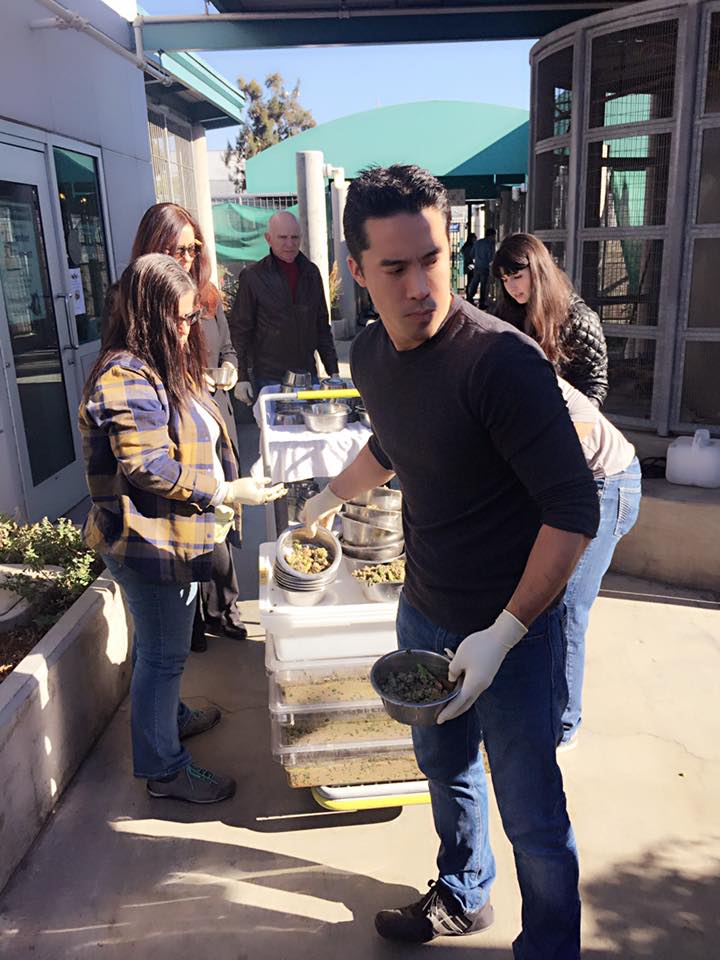 Marc Ching Feeding Shelter Pets Marc Ching Feeding Shelter Pets