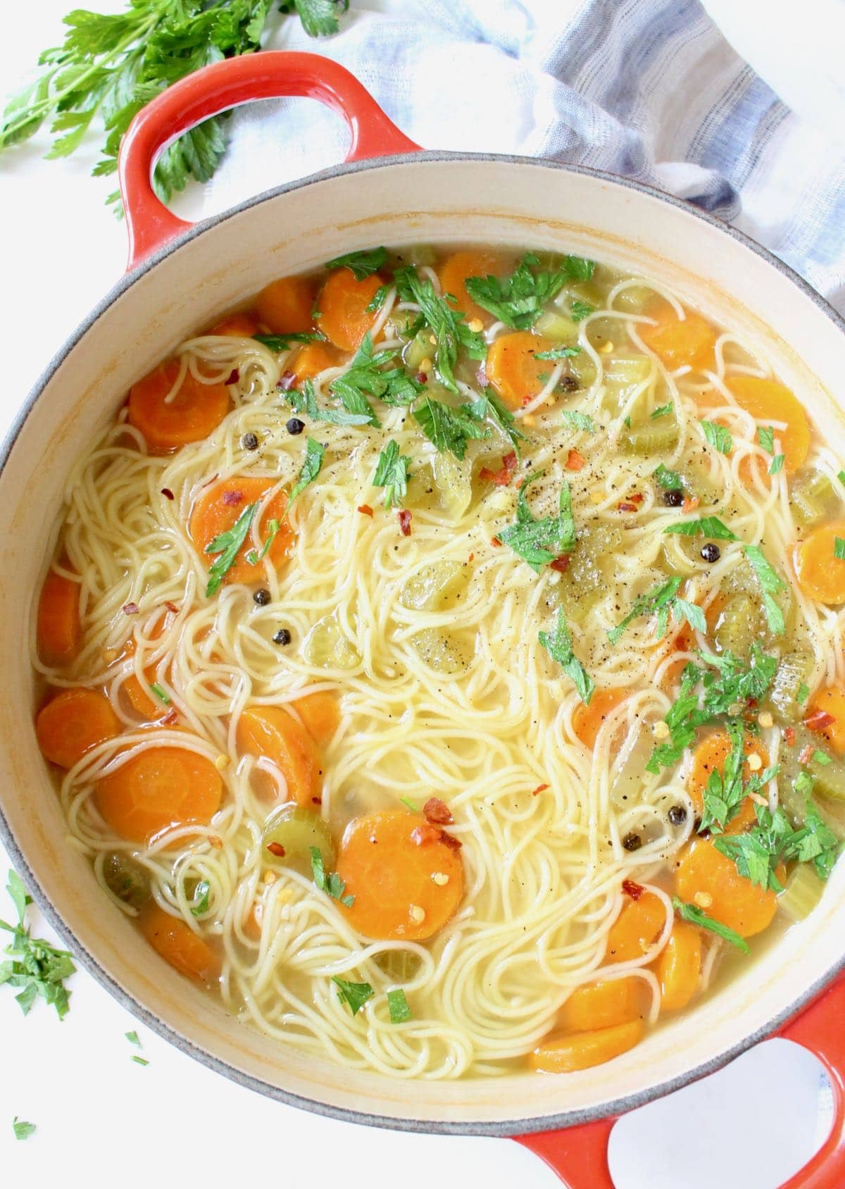 vegetable noodle soup vegetable noodle soup