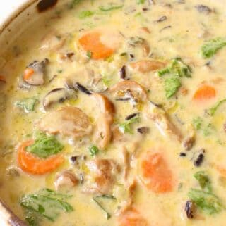 Vegan Mushroom Soup