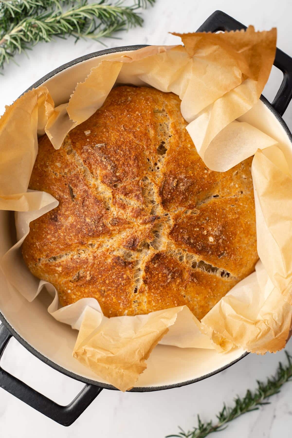 best whole wheat bread recipe homemade best whole wheat bread recipe homemade